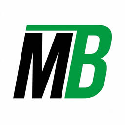 Logo Moto BR
